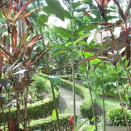 La Palapa Ecolodge Portalon Экстерьер фото