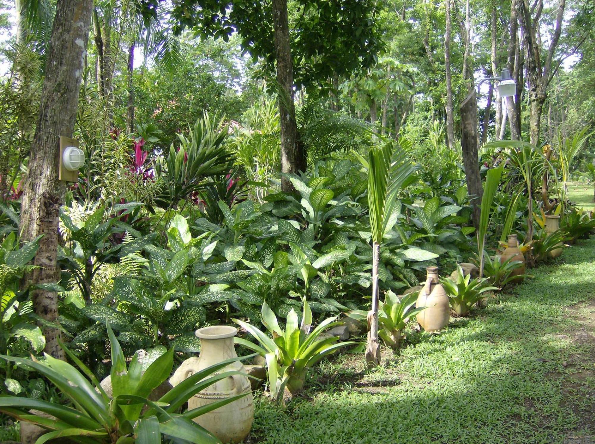 La Palapa Ecolodge Portalon Экстерьер фото