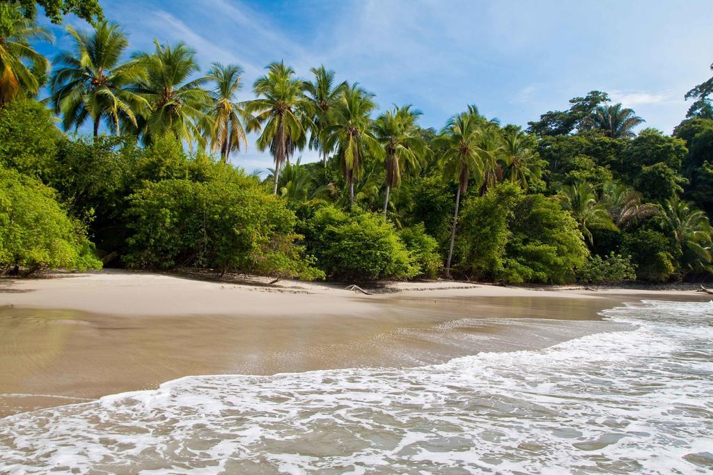 La Palapa Ecolodge Portalon Экстерьер фото