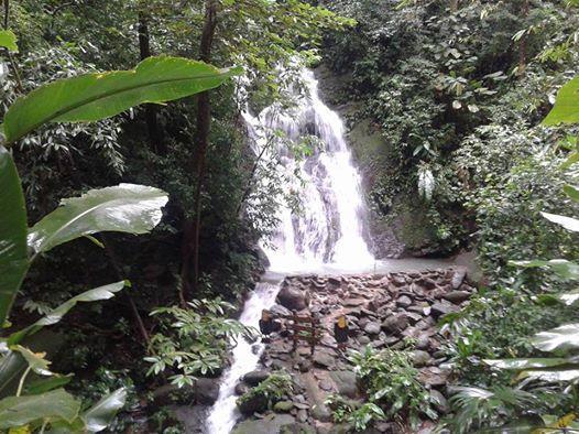 La Palapa Ecolodge Portalon Экстерьер фото