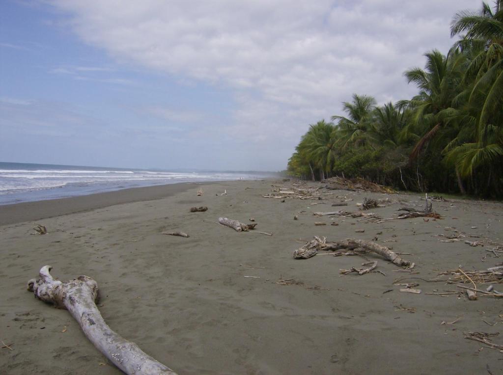 La Palapa Ecolodge Portalon Экстерьер фото