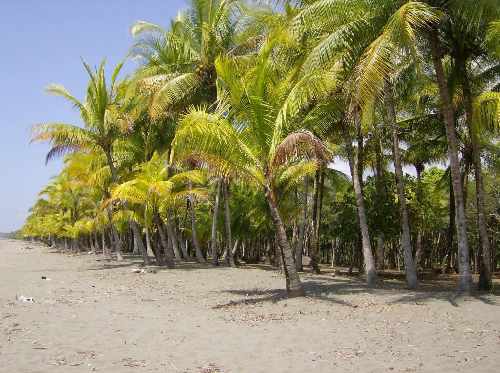 La Palapa Ecolodge Portalon Экстерьер фото