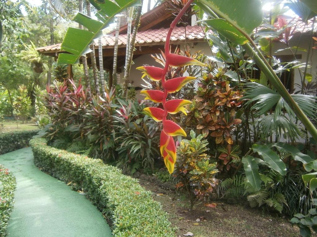 La Palapa Ecolodge Portalon Экстерьер фото