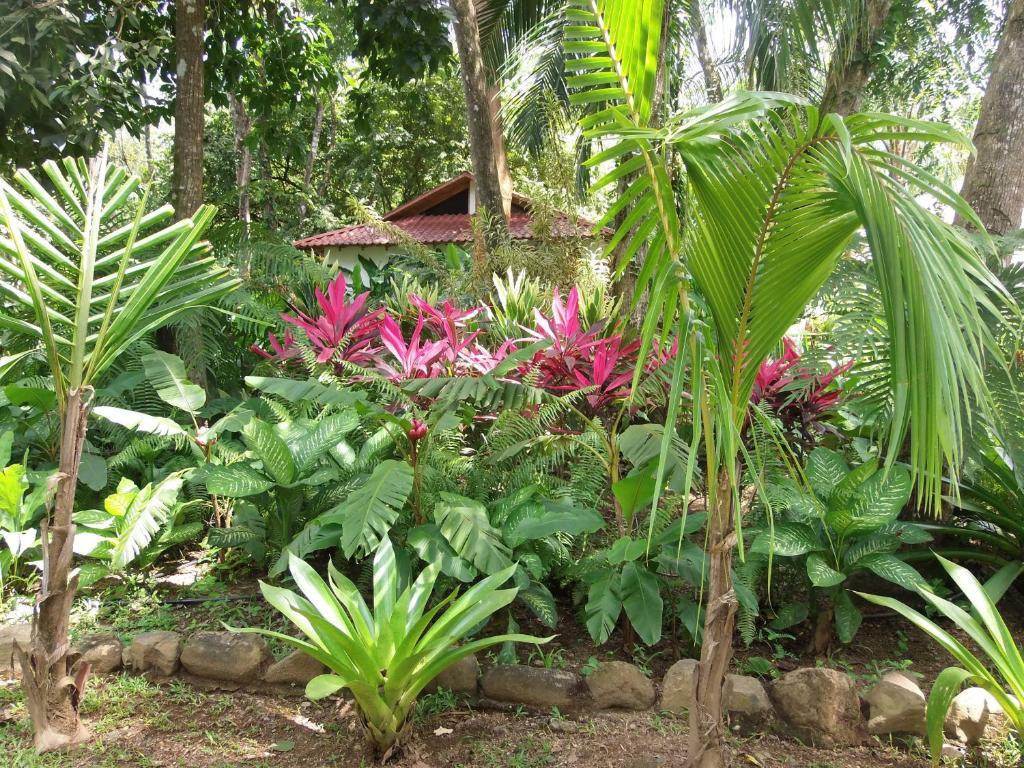 La Palapa Ecolodge Portalon Экстерьер фото