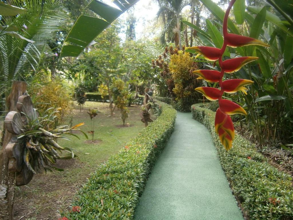La Palapa Ecolodge Portalon Экстерьер фото
